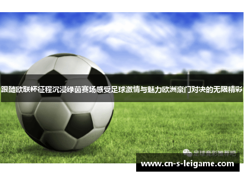 跟随欧联杯征程沉浸绿茵赛场感受足球激情与魅力欧洲豪门对决的无限精彩 跟随欧联杯征程沉浸绿茵赛场感受足球激情与魅力欧洲豪门对决的无限精彩