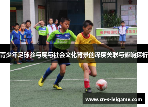 青少年足球参与度与社会文化背景的深度关联与影响探析